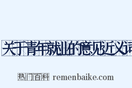 关于青年就业的意见近义词是什么意思的图片